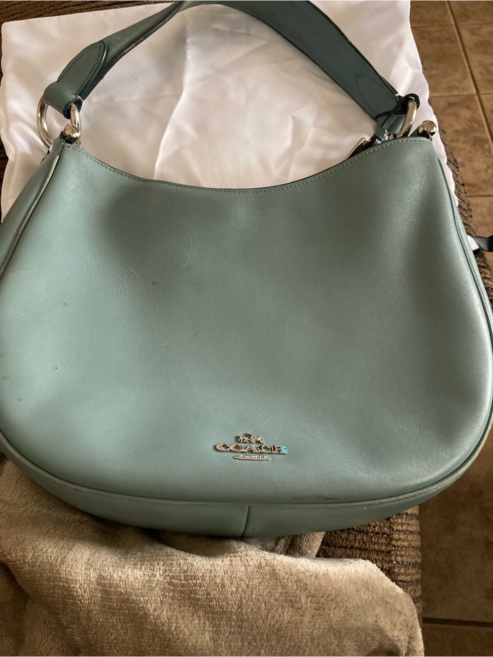 Coach Mint Green Leather Shoulder Bag with Silver-Tone Hardware